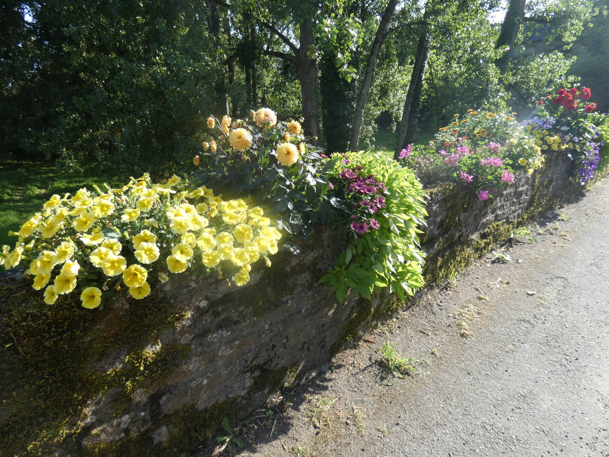 Commune fleurie